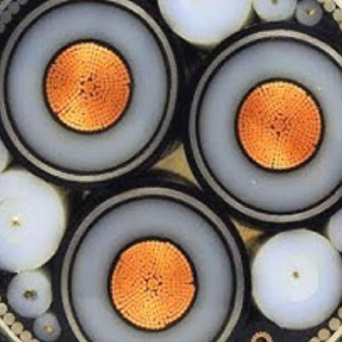 submarine cable network