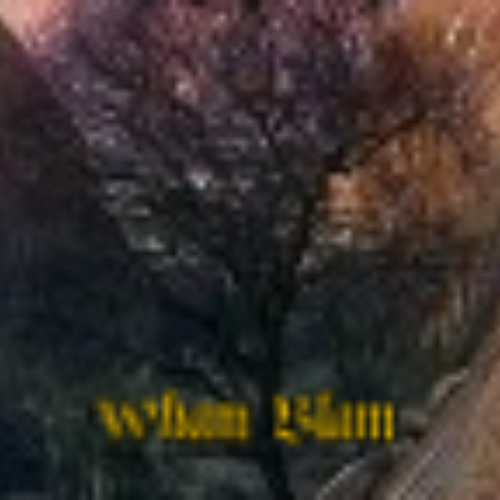 WhamBlam in the Studio - wuw