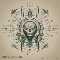 Ben Stereomode - Driven Tribe