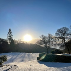 Aubade [Music for Orchestra]