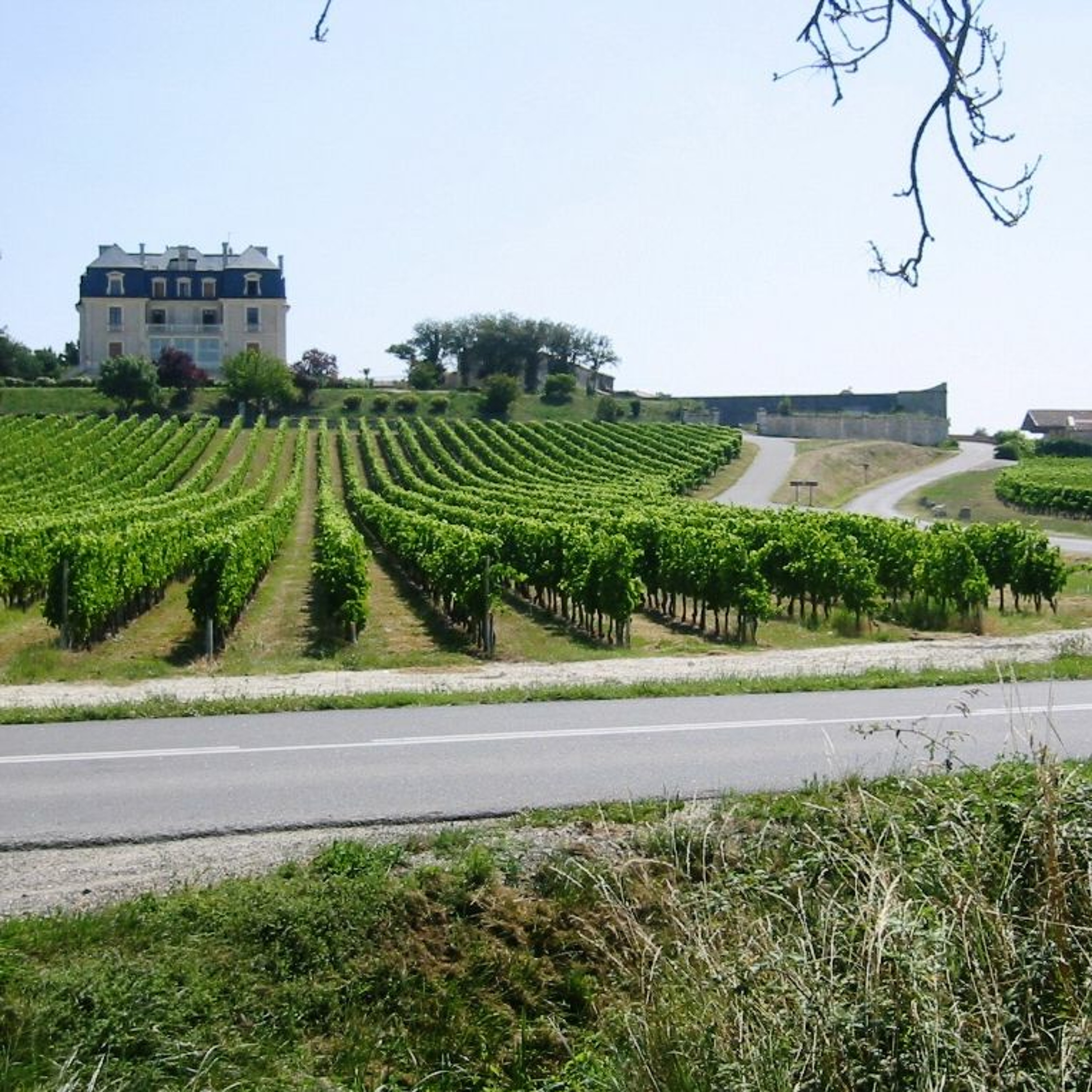 Vin- og matopplevelser