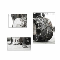 Remedy - Drum Cognition