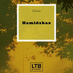 Hamidshax - Voices (Original Mix)