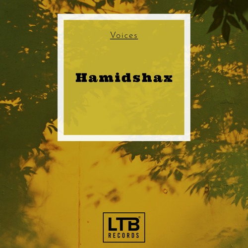 Hamidshax - Voices (Original Mix)