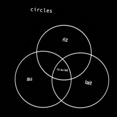 Post Malone - Circles (Riz au lait cover)