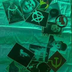 BaCho-Barking up the Wrong Tree