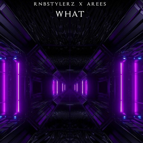 Rnbstylerz & AREES - WHAT