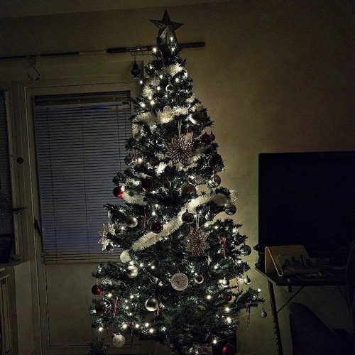 Xmas🎅