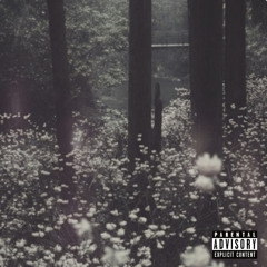 I’m Not Feeling Okay (feat. Tommie) [prod. anticøn]