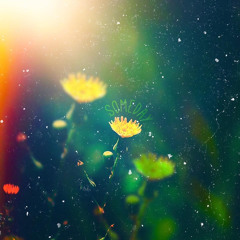 Some Day Feat. Everton