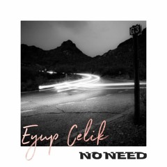 Eyup Celik - No Need