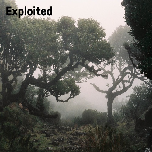 NEAT - It Is U I Exploited