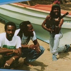Culture- Tropical Dub Fever