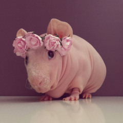 don't give a fuck speed (prod. emogi8519)