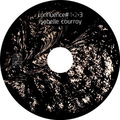 VOLIÈRE - Isabelle Courroy - Un Éloge de L'oblique - Confluence#3