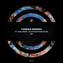 PREMIERE: Tomas Briski - If You Dare [WARPP]