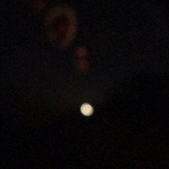 The Light in the Dark in the Light