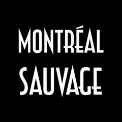 Montréal Sauvage - Ouverture