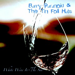 Barry Paranoid & The Tin Foil Hats - White Wine In The Sun [Tim Minchin Cover]