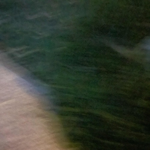 forestwlkr & beforewecrash - no ego (prod. georgie)