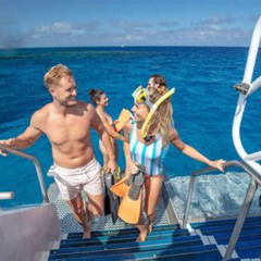 Best Silverswift Outer Great Barrier Reef Dive And Snorkel Cruise From Cairns Tours Review