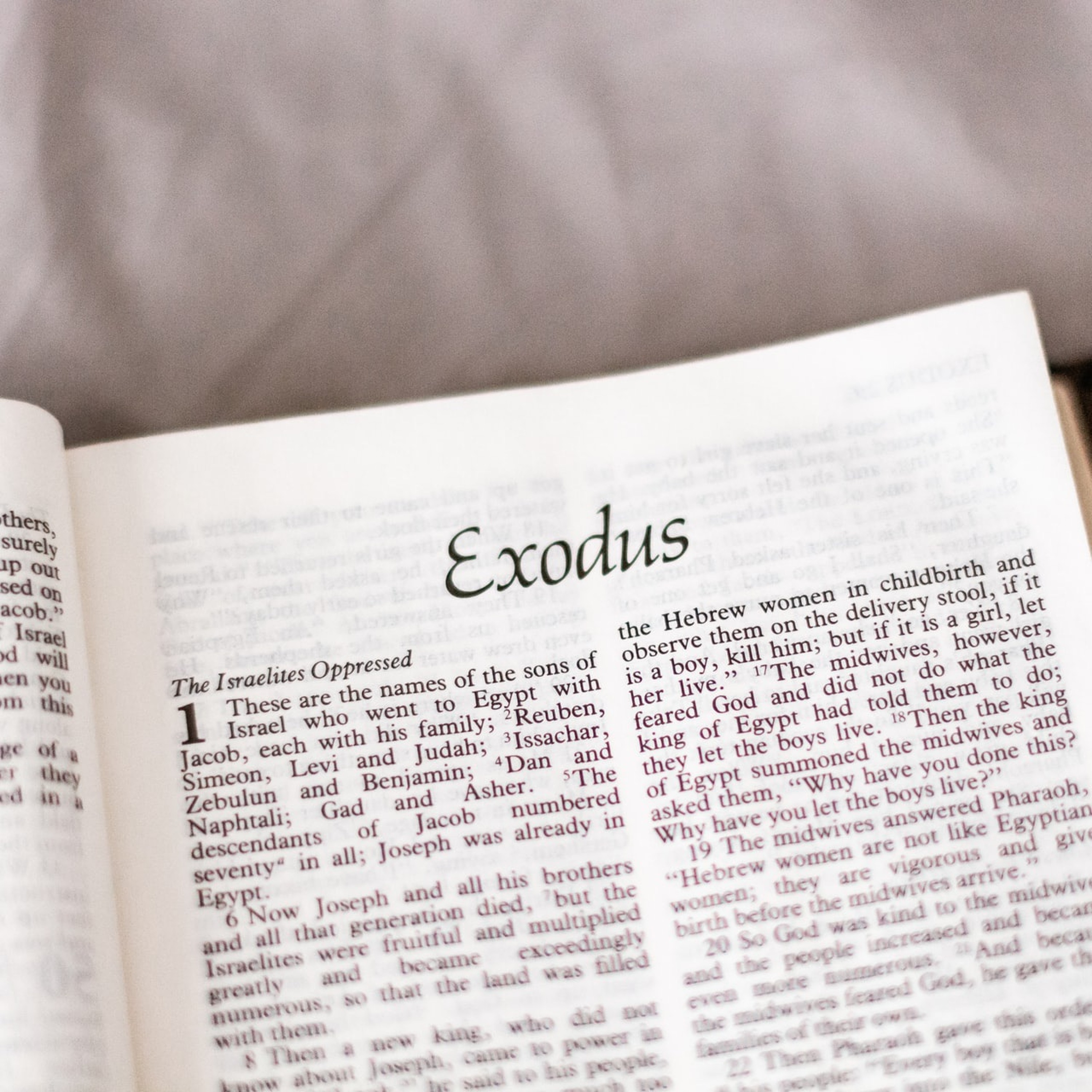 The Exodus: Type of Modern Israel, Part 3 (Rulers Oppose God’s Will) episode artwork
