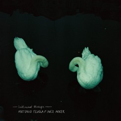 E-HRZN Premiere: Antonio Fevola, Inez Akker - 909 Arcader [CMLNMBS16]