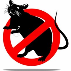 C.A.R.S. (Crucify All Rats)