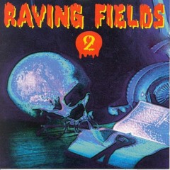 Raving Fields 2 Megamix // The Gabberbox 9 [Disc 3]