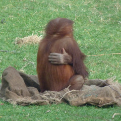 Don't Wait For It To Happen