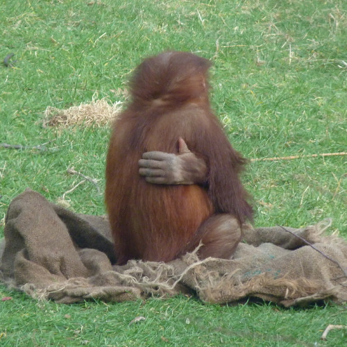 Don't Wait For It To Happen