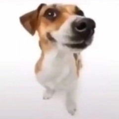 Freddie Dredd Devil's work (Instrumental)