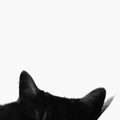 C'était très spécial!