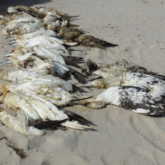 Fucker Med Alt (Slem x KrystR)