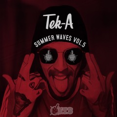 Tek-A - Summer Waves Vol.5