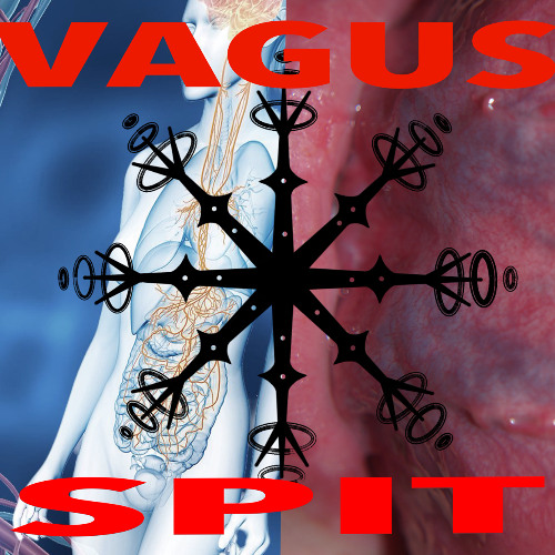 Vagus Spit Mix