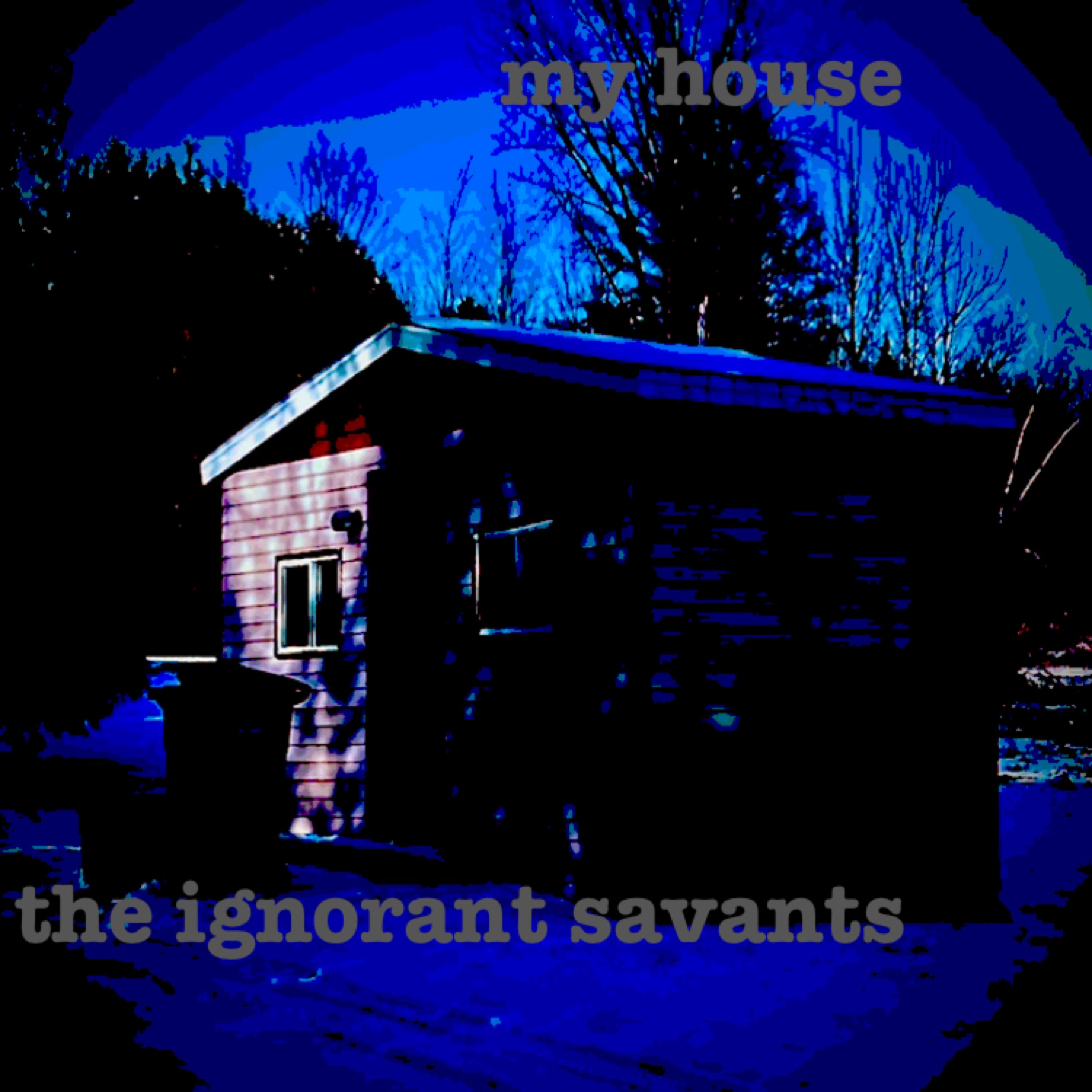the ignorant savants