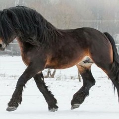 are you [lightmix8/1]