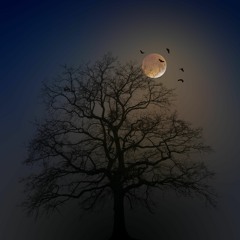 Moon Tree