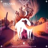 Daniel Dee - Organa (Cafe De Anatolia)
