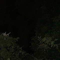 مضناك - موسيقى