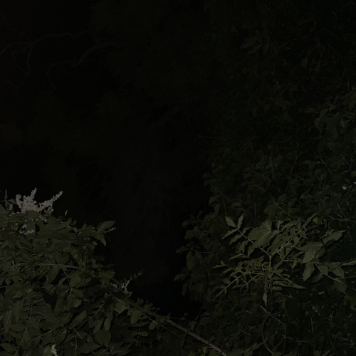 مضناك - موسيقى