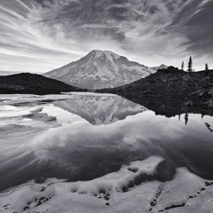 A Grey Dream Through Waking Eyes