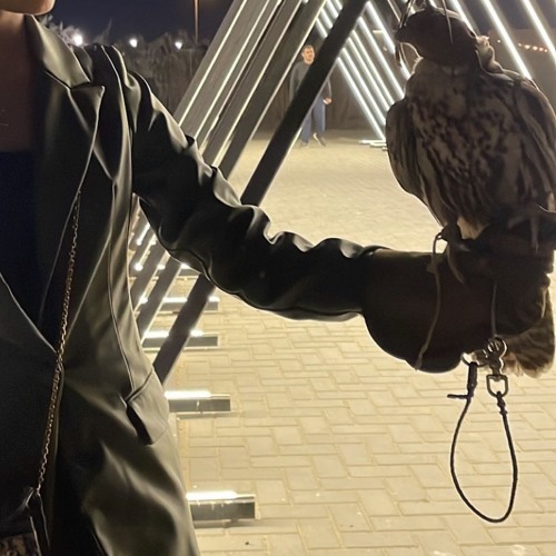 شدو بدو قلبي عن ديار قلبك - ثامر شبيب