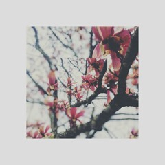 Summer Beat Battle 1 - Dvnsen
