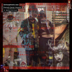 Schizophrenic.wav