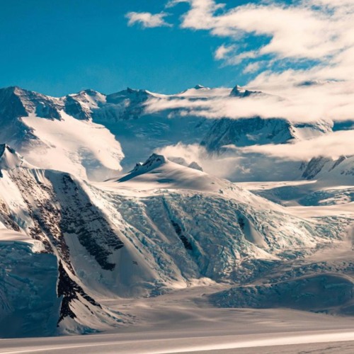 Sounds From The Ice