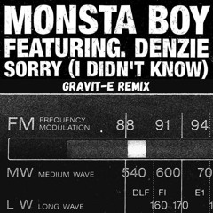 Monstaboy - Im Sorry (Gravit-e Remix)