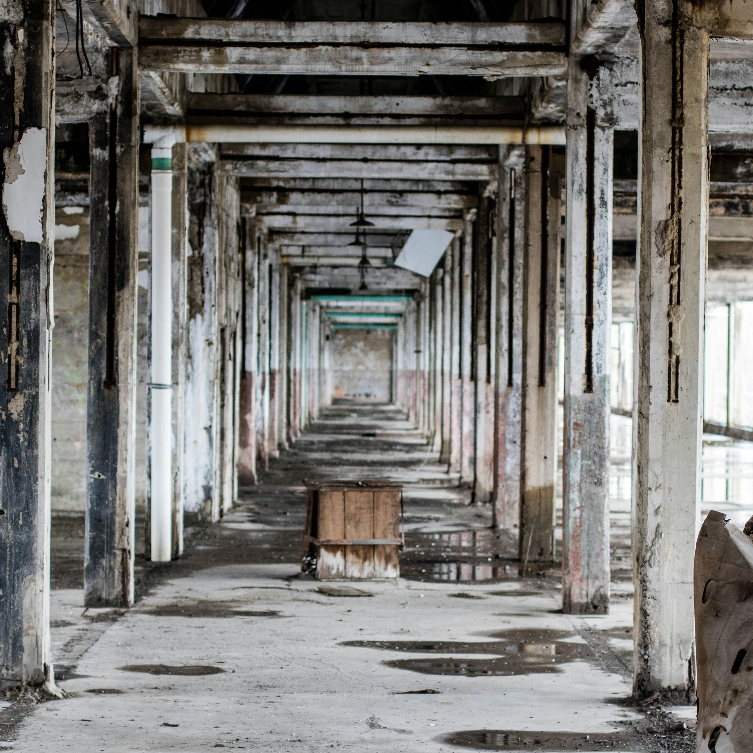 14.01.25 Nestor & Koppel 4.11 – Kõik riigid on võlgades