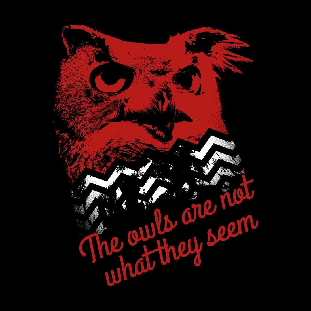 洋楽 V/Vm The Owls Are Not What They Seem 洋楽 V/Vm The Owls Are Not What They Seem 洋楽 V/Vm The Owls Are